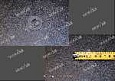 Тарелка пружины клапана нижняя 13024293 Тарелка пружины клапана нижняя 13024293